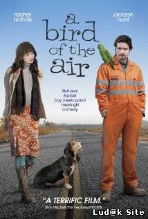 A Bird of the Air (2011)