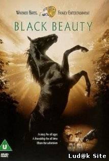 Black Beauty (1994)