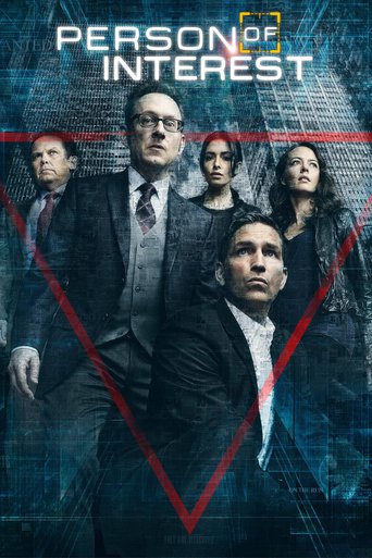 Person Of Interest (2011)