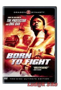 Kerd ma lui Aka Born to Fight (2004)