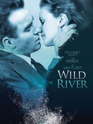 Wild River (1960) 