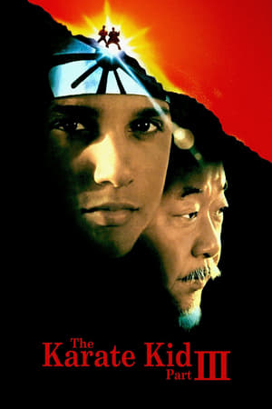 The Karate Kid 3 (1989)