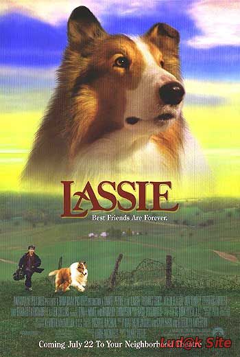 Lesi (1994)