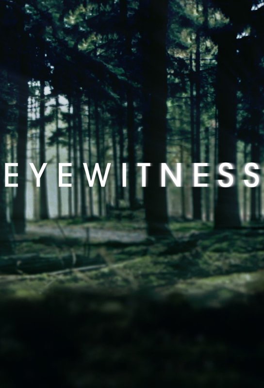 Eyewitness (2016) 1x10