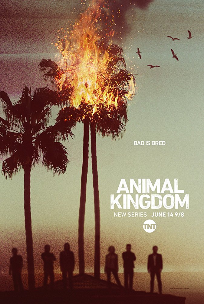 Animal Kingdom (2016) 6x7