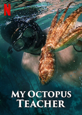 My Octopus Teacher (2020) 