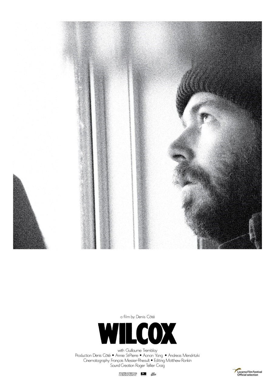 Wilcox (2020)