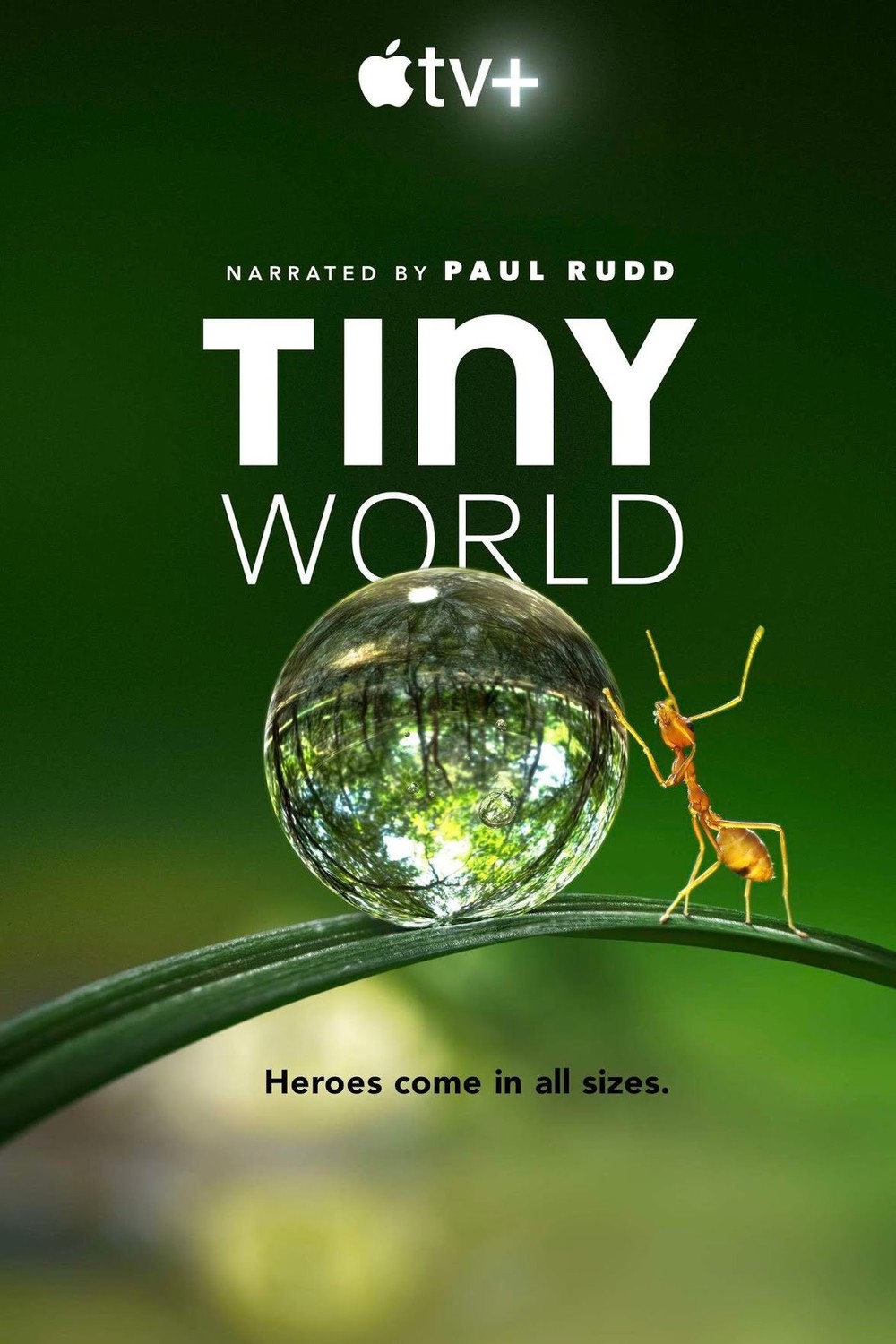 Tiny World (2020)